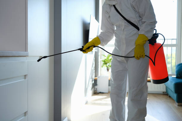 Best Crawl Space Mold Removal  in Lino Lakes, MN